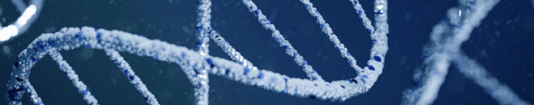 companies-component-bg