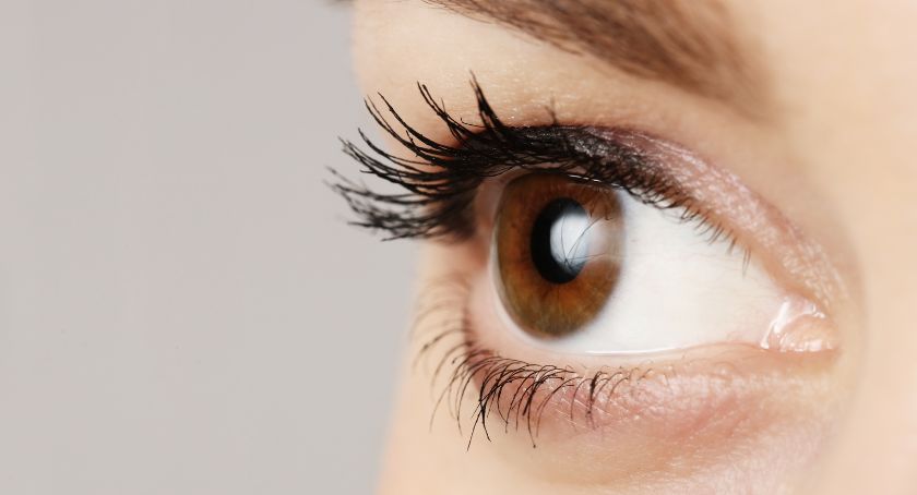Vitamin Supplementation May Slow Glaucoma Progression: Preclinical Study