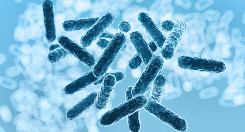 Probiotic Blend May Improve Constipation and Mental Well-Being in Older Adults: Study