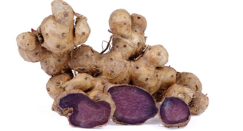 Botanical Extract Supports Fat Loss: Study
