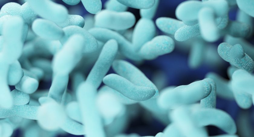 PEA Ingredient Modulates Microbiome, Inflammatory Activity: Study