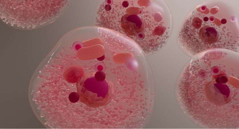 dsm-firmenich to Highlight Longevity Solutions and Science at Vitafoods Europe